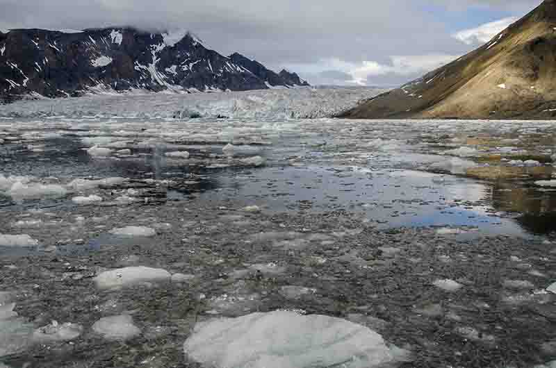 50 - Noruega - islas Svalbard - isla de Spitsbergen - fiordo Hornsund